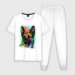 Пижама хлопковая мужская Овчарка в краске, цвет: белый