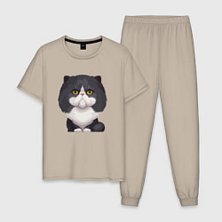 Мужская пижама Важный кот