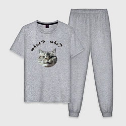 Пижама хлопковая мужская Кот с вопросами, цвет: меланж