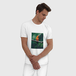 Пижама хлопковая мужская Попугай сидит на ветке, цвет: белый — фото 2