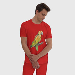 Пижама хлопковая мужская Любимый попугай, цвет: красный — фото 2