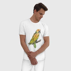 Пижама хлопковая мужская Любимый попугай, цвет: белый — фото 2
