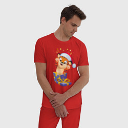 Пижама хлопковая мужская Тигрёнок в качестве подарка, цвет: красный — фото 2