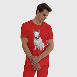Пижама хлопковая мужская Бойцовый бесстрашный бультерьер, цвет: красный — фото 2