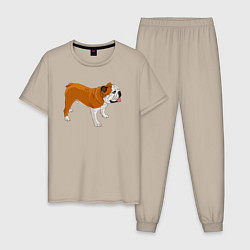 Мужская пижама Английский бульдог рисунок собаки