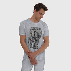 Пижама хлопковая мужская Огромный могучий слон, цвет: меланж — фото 2