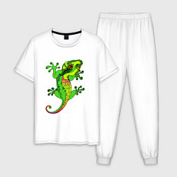 Мужская пижама Ящерица Lizard