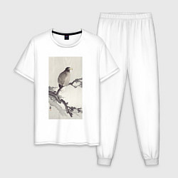 Пижама хлопковая мужская White-tailed Eagle on Branch, цвет: белый