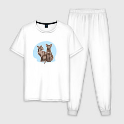 Пижама хлопковая мужская Кошка Гавана Браун Кошки, цвет: белый