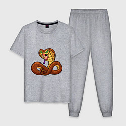 Мужская пижама Для любителей змей