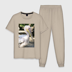 Мужская пижама Пеликан в природе