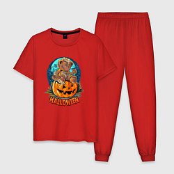 Пижама хлопковая мужская Halloween - Мишка на тыкве, цвет: красный