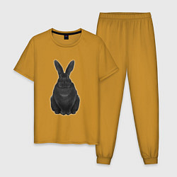 Пижама хлопковая мужская Черный водяной кролик - 2023, цвет: горчичный