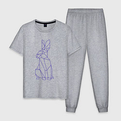 Пижама хлопковая мужская Символ 2023 - Синий Кролик, цвет: меланж