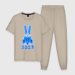 Пижама хлопковая мужская Геометрический синий кролик 2023, цвет: миндальный