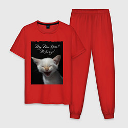 Пижама хлопковая мужская Смеющийся котёнок, цвет: красный