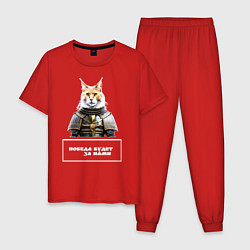 Пижама хлопковая мужская Кот мейн-кун в доспехах, цвет: красный