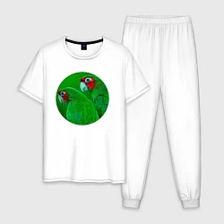 Пижама хлопковая мужская Два зелёных попугая, цвет: белый