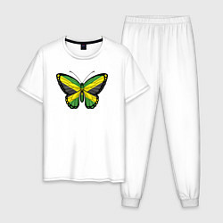 Мужская пижама Ямайка бабочка