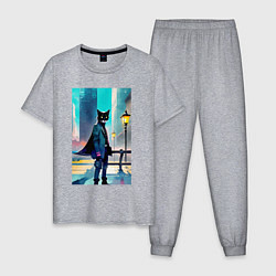 Пижама хлопковая мужская Кот модник - Нью-Йорк - акварель, цвет: меланж