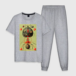 Пижама хлопковая мужская Повелитель муравьёв - поп-арт, цвет: меланж