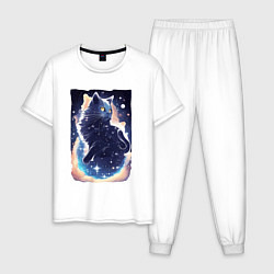 Мужская пижама Туманность кота
