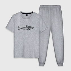 Пижама хлопковая мужская Акула профиль, цвет: меланж