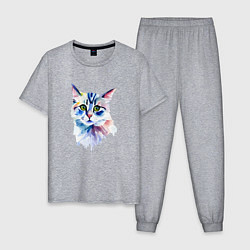 Пижама хлопковая мужская Акварельный волшебный котик, цвет: меланж
