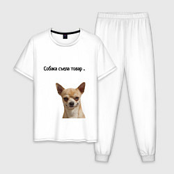 Пижама хлопковая мужская Собака съела товар, цвет: белый