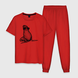 Пижама хлопковая мужская Морской котик стильный, цвет: красный