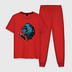 Пижама хлопковая мужская Mandrill monkey, цвет: красный