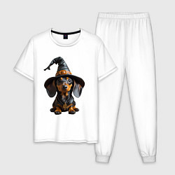 Пижама хлопковая мужская Такса в шляпе ведьмы хэллоуин, цвет: белый