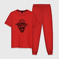 Пижама хлопковая мужская Голова рычащей гориллы, цвет: красный