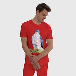 Пижама хлопковая мужская Молодой сокол, цвет: красный — фото 2