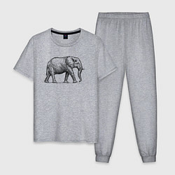 Мужская пижама Слон гуляет