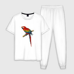 Мужская пижама Попугай ara macaw