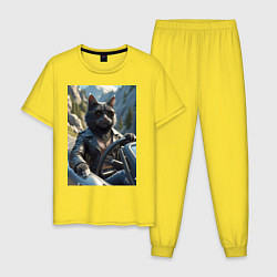 Пижама хлопковая мужская Кот за рулем кабролета, цвет: желтый