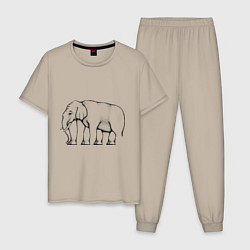 Пижама хлопковая мужская Сколько ног у слона, цвет: миндальный