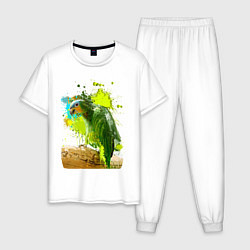Пижама хлопковая мужская Зеленый попугай, цвет: белый