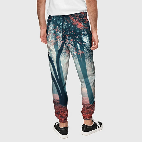 Мужские брюки Осень / 3D-принт – фото 4