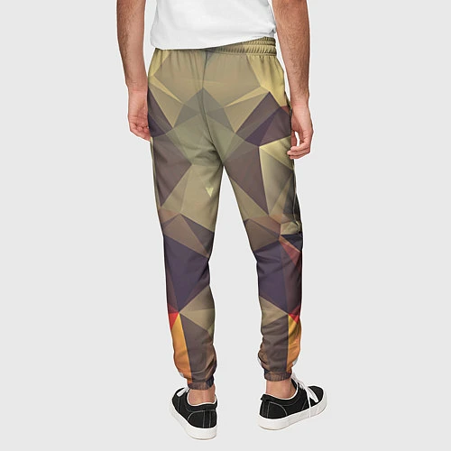 Мужские брюки Grazy Poly VPPDGryphon / 3D-принт – фото 4