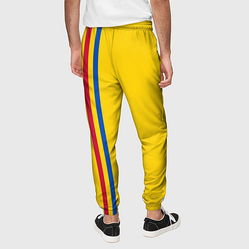 Мужские брюки Молдавия: лента с гербом / 3D-принт – фото 4