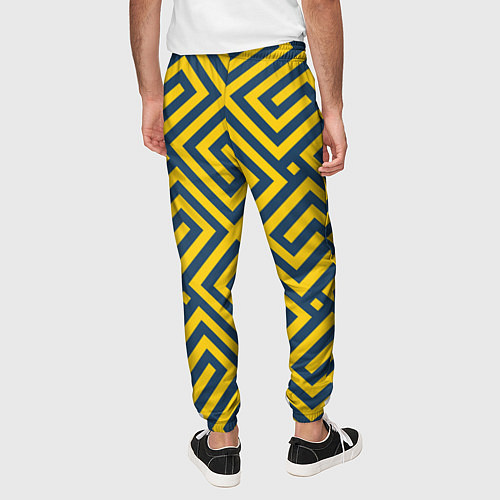 Мужские брюки Желтый лабиринт / 3D-принт – фото 4