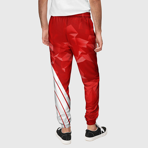 Мужские брюки Eat Sleep JDM: Red Poly / 3D-принт – фото 4