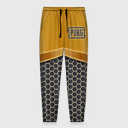 Мужские брюки PUBG: Gold Shield