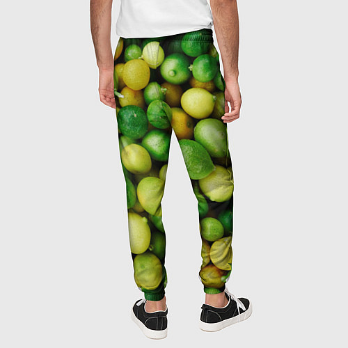Мужские брюки Цытрусы / 3D-принт – фото 4