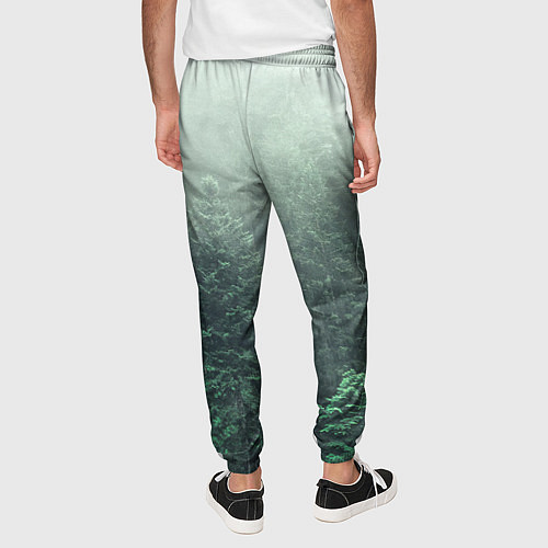 Мужские брюки Туманный лес / 3D-принт – фото 4