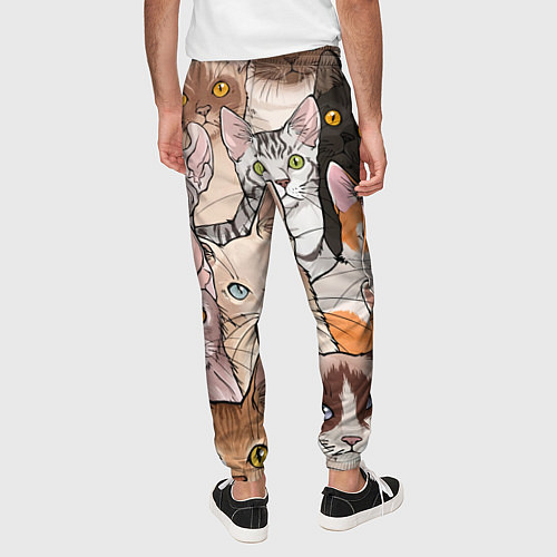 Мужские брюки Котики / 3D-принт – фото 4
