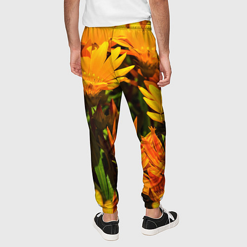 Мужские брюки Желтый цвет весны / 3D-принт – фото 4