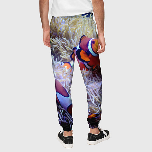 Мужские брюки Клоуны в актинии / 3D-принт – фото 4